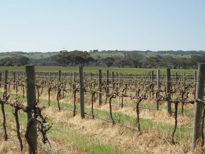 ~ Sold by Mike Stillwell ~ Picture 3