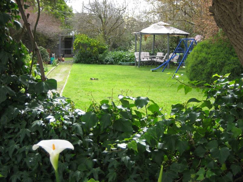 ~ Sold by Nick van Vliet ~ Picture 1