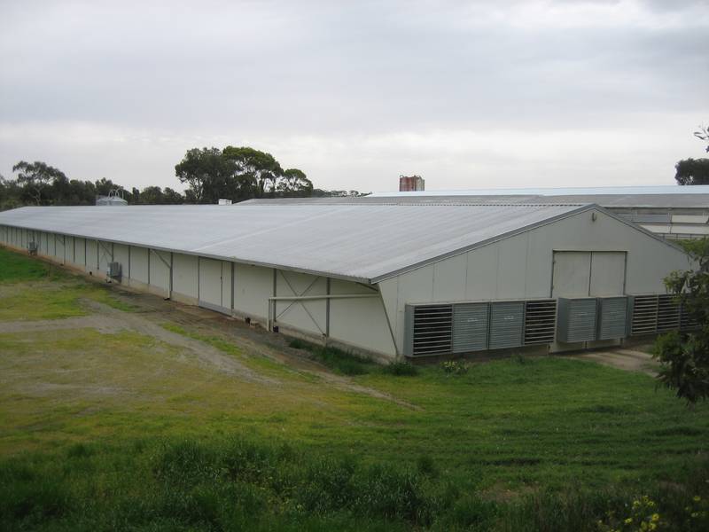 Turkey Broiler Farm (with contract) 10 acres - cottage - sheds! Picture 1