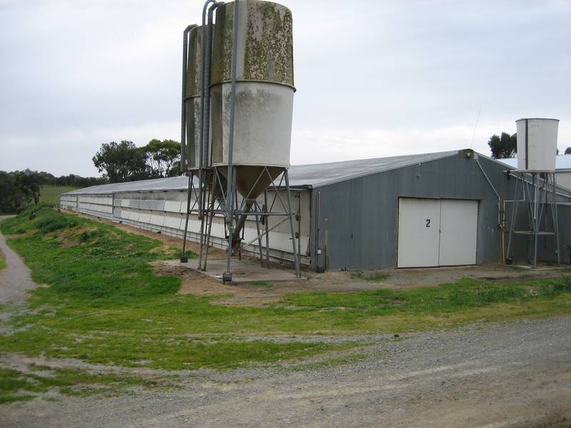 Turkey Broiler Farm (with contract) 10 acres - cottage - sheds! Picture 3