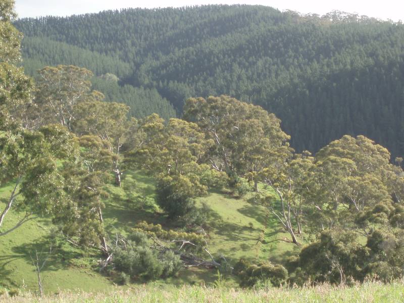 ~ Sold by Mike Stillwell ~ Picture 2