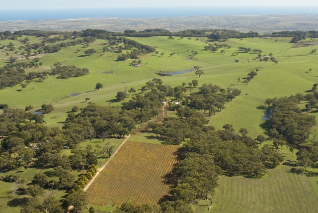 9.31ha (23 acres) - Scenic Gum Studded Pasture - Architect Designed Contemporary Residence Picture 2