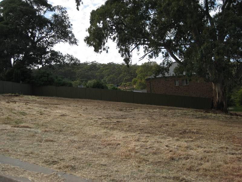 Panoramic Views plus Charming Rustic Eucalypt (1215m2 Vacant Allotment) Picture 2