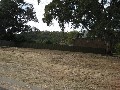 Panoramic Views plus Charming Rustic Eucalypt (1215m2 Vacant Allotment) Picture