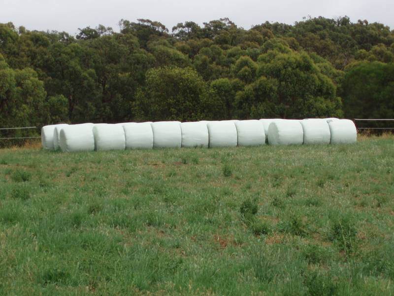 28.4ha (70ac) - Gums - Bore - Sheds/Stables Picture 3