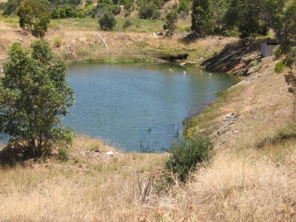 Established Vineyard in the Heart of this Renowned Region Picture 3