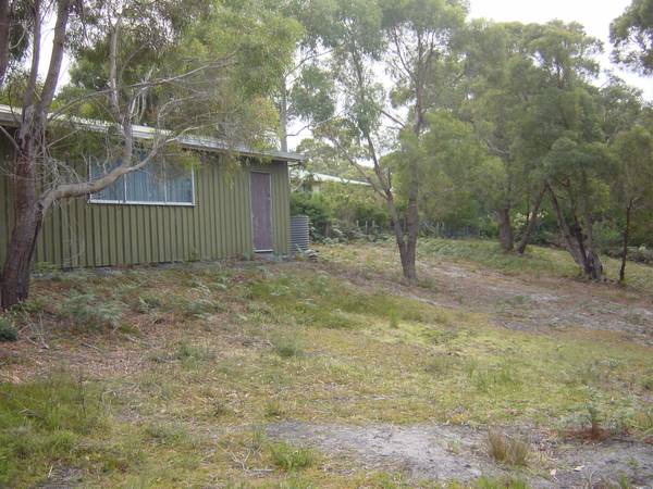 Peace & Tranquillity Picture 1