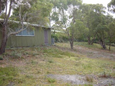 Peace & Tranquillity Picture