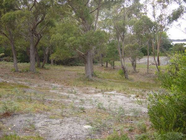 Peace & Tranquillity Picture 2