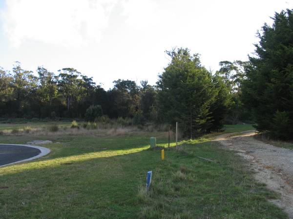 Affordable Building Block Picture 3