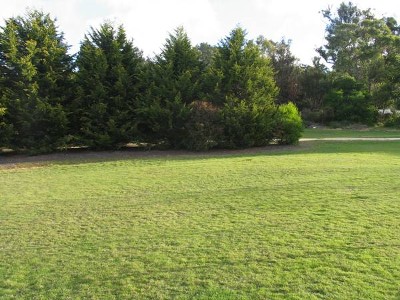 Affordable Building Block Picture