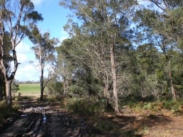 PORT HILLS ESTATE - Stage 2
1 Block SOLD Picture 2