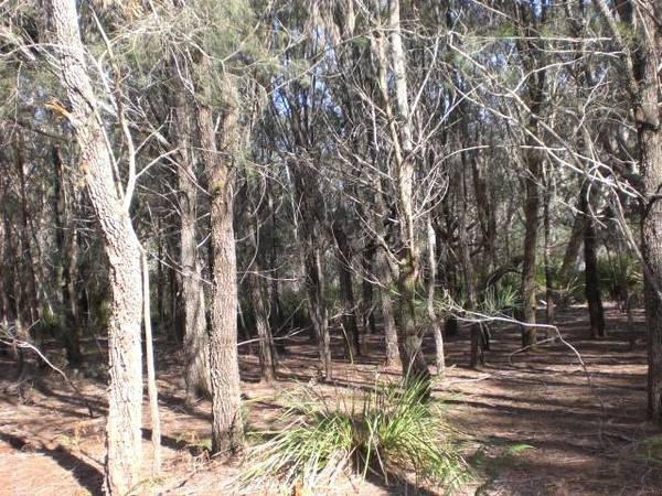 PORT HILLS ESTATE - Stage 2
1 Block SOLD Picture 3