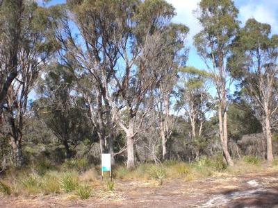 PORT HILLS ESTATE - Stage 2
1 Block SOLD Picture