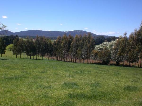 FARM COTTAGE - TRANQUIL SETTING Picture FARM COTTAGE - TRANQUIL SETTING Picture