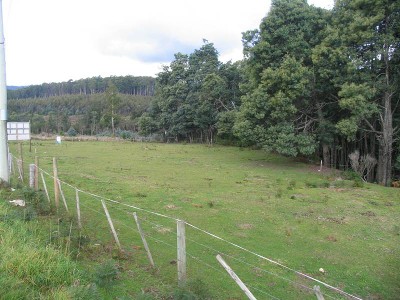 Surplus Crown Property Picture