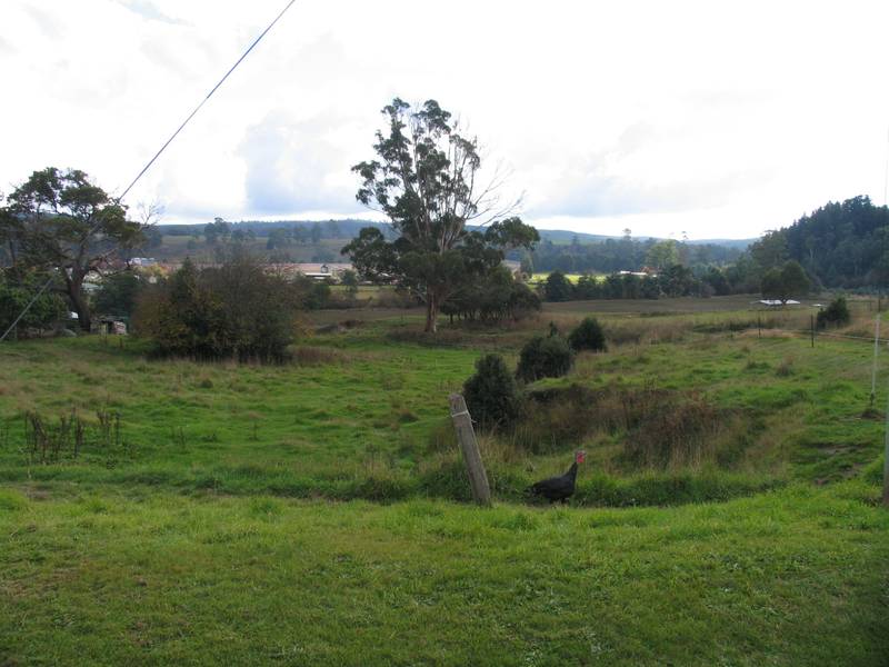 Surplus Crown Property Picture 3