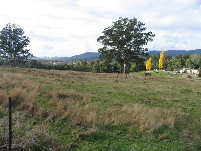 Surplus Crown Property Picture