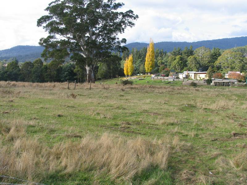 Surplus Crown Property Picture 2