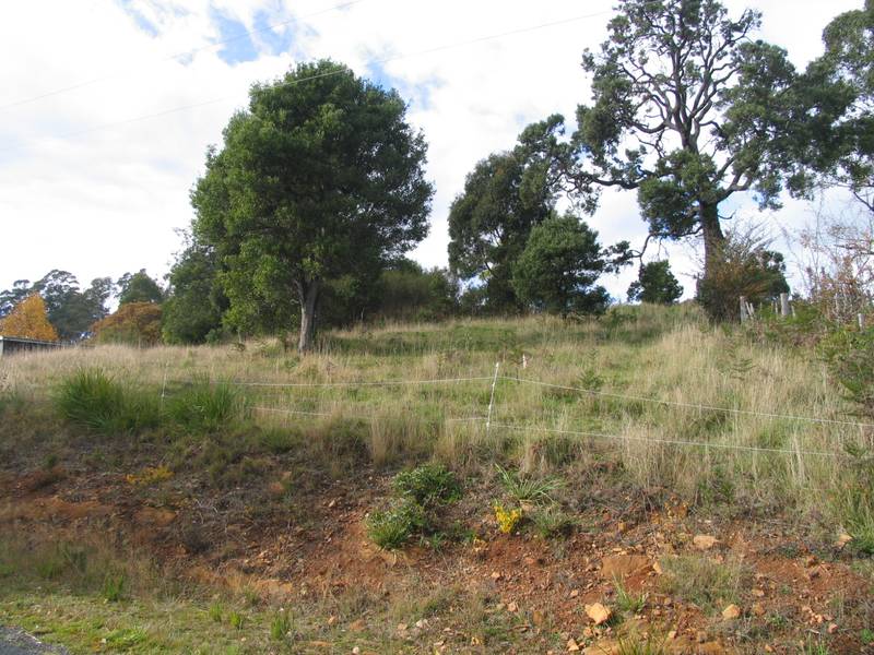 Surplus Crown Property Auction Picture 1