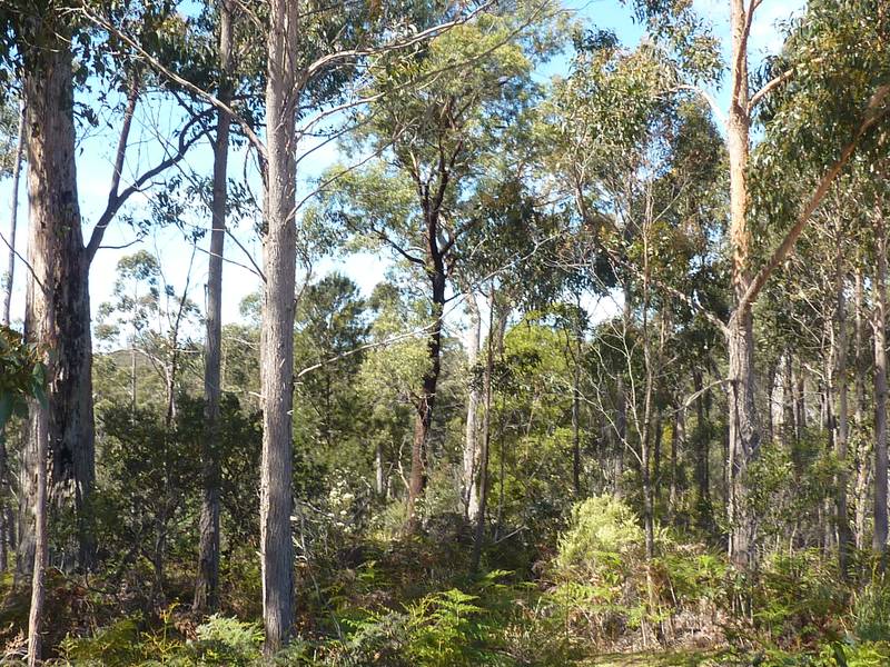 76 Acre
Bush Block - 5 Minutes From Scottsdale Picture 1