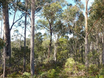 76 Acre
Bush Block - 5 Minutes From Scottsdale Picture