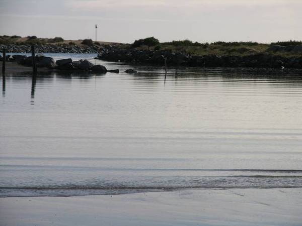 Central Location with Ocean & River Views Picture 2