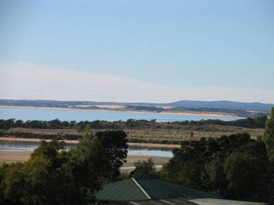 Watermark Subdivision Picture Watermark Subdivision Picture