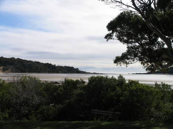 Absolute Waterfront Picture 2