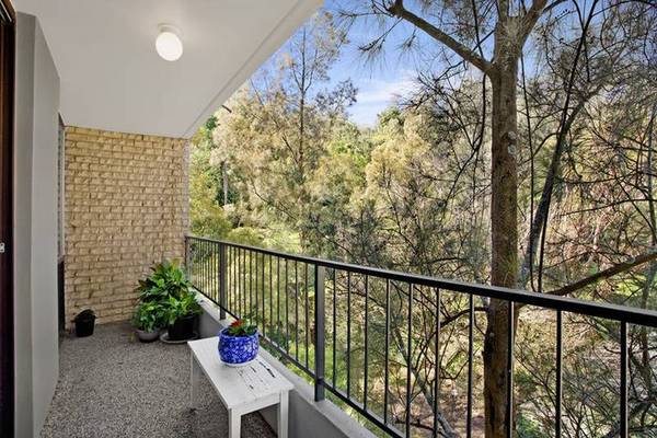 Serene blank canvas Picture 3