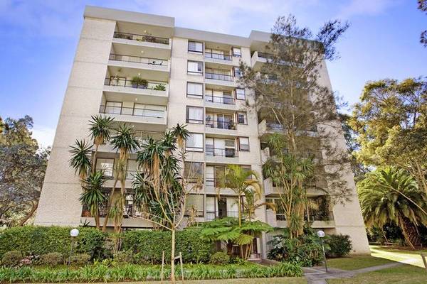 Serene blank canvas Picture 1