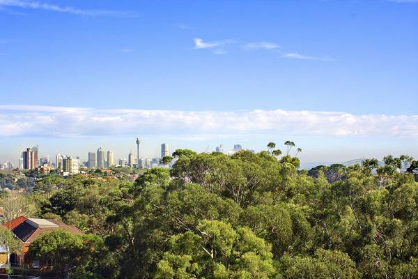 Great investment, city views Picture 1