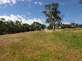 5 ACRE ALLOTMENT! Picture