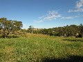 5 ACRE ALLOTMENT! Picture