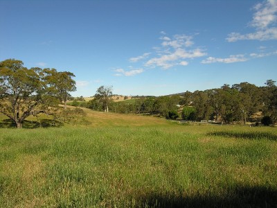 5 ACRE ALLOTMENT! Picture