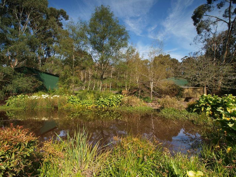 UNDER CONTRACT - A TIMELESS SANCTUARY - 2527M2 Picture 3