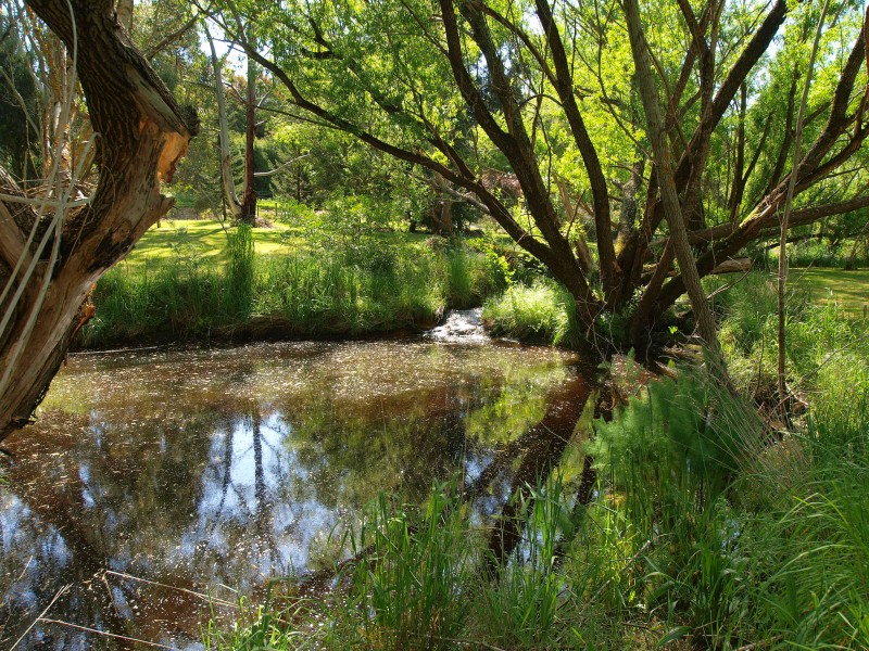 RURAL ESCAPE WITHIN EASY REACH OF THE CITY Picture 1