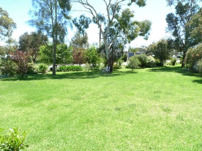 Level Building Allotment Picture