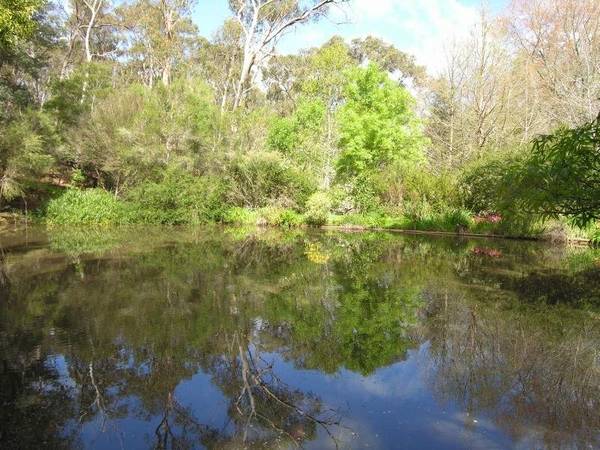 Solid Brick Residence On 14 Acres Picture 1
