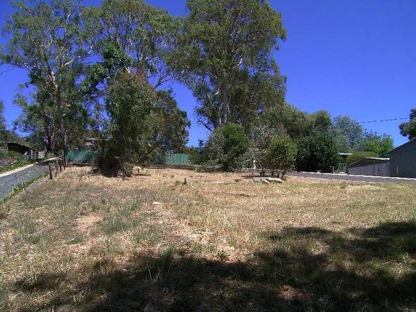 Land, Land, Land Picture 2