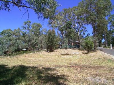 Land, Land, Land Picture