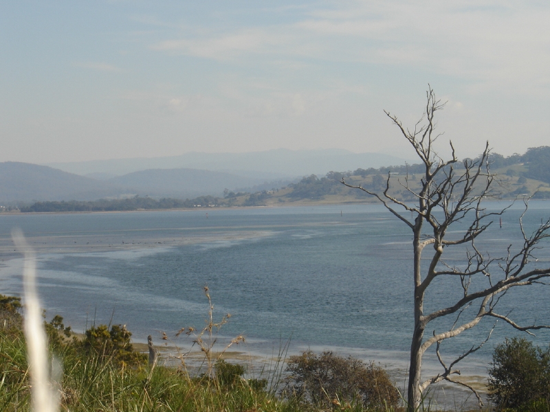 Sparkling Stieglitz at St Helens Only $195,000 Picture 1