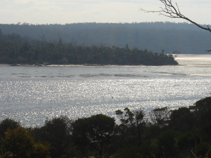 Sparkling Stieglitz at St Helens Only $195,000 Picture 2