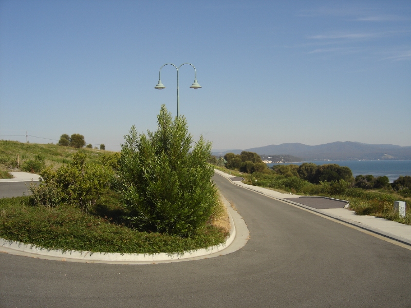 Sparkling Stieglitz at St Helens Only $195,000 Picture 3