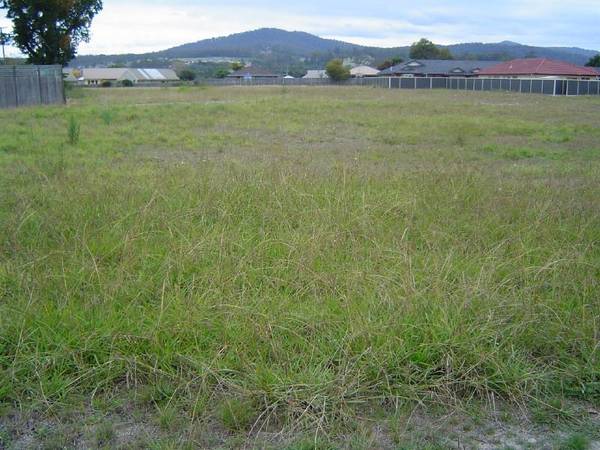 Prime Central Land Release Picture 3