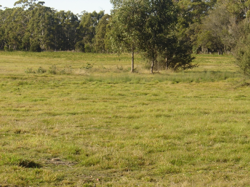 Has Everything but your Home Picture 3