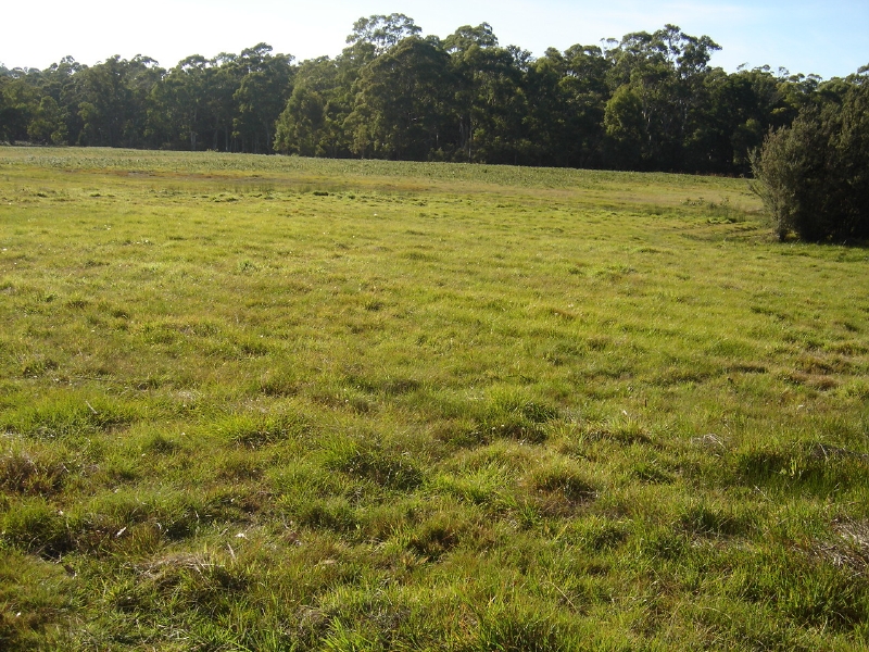 Has Everything but your Home Picture 2