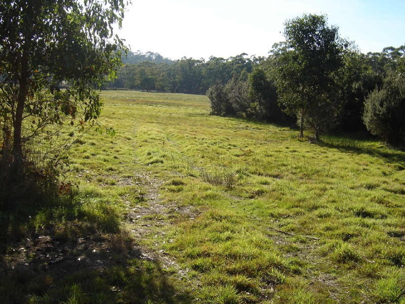 Has Everything but your Home Picture 1