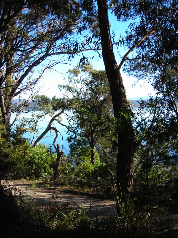 Two blocks side by side great buying $200,000 for the pair! Picture 1