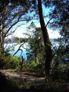 Two blocks side by side great buying $200,000 for the pair! Picture